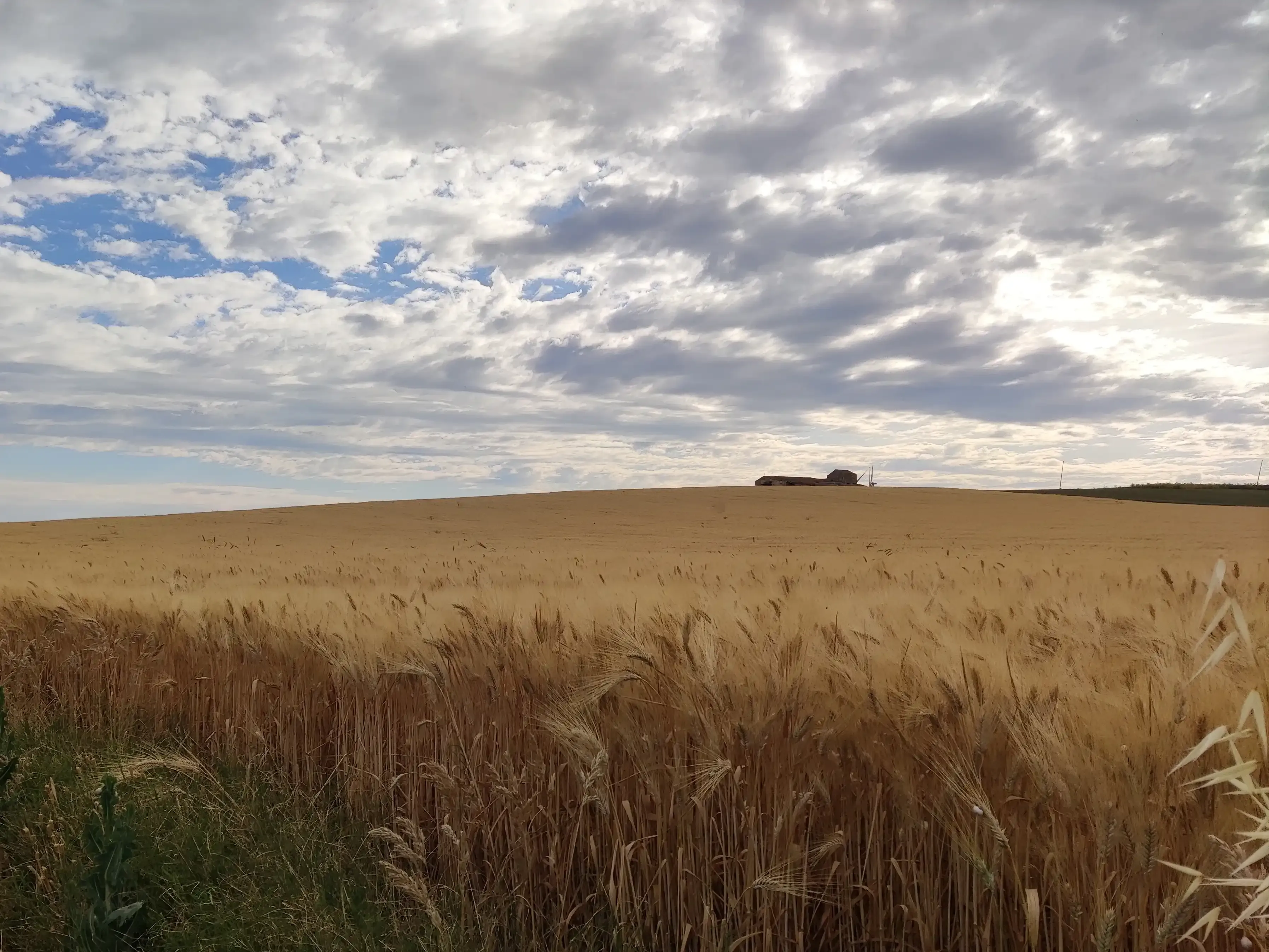Visit Agri Amigdala Degustazione di prodotti tipici siciliani in azienda agricola a Dattilo