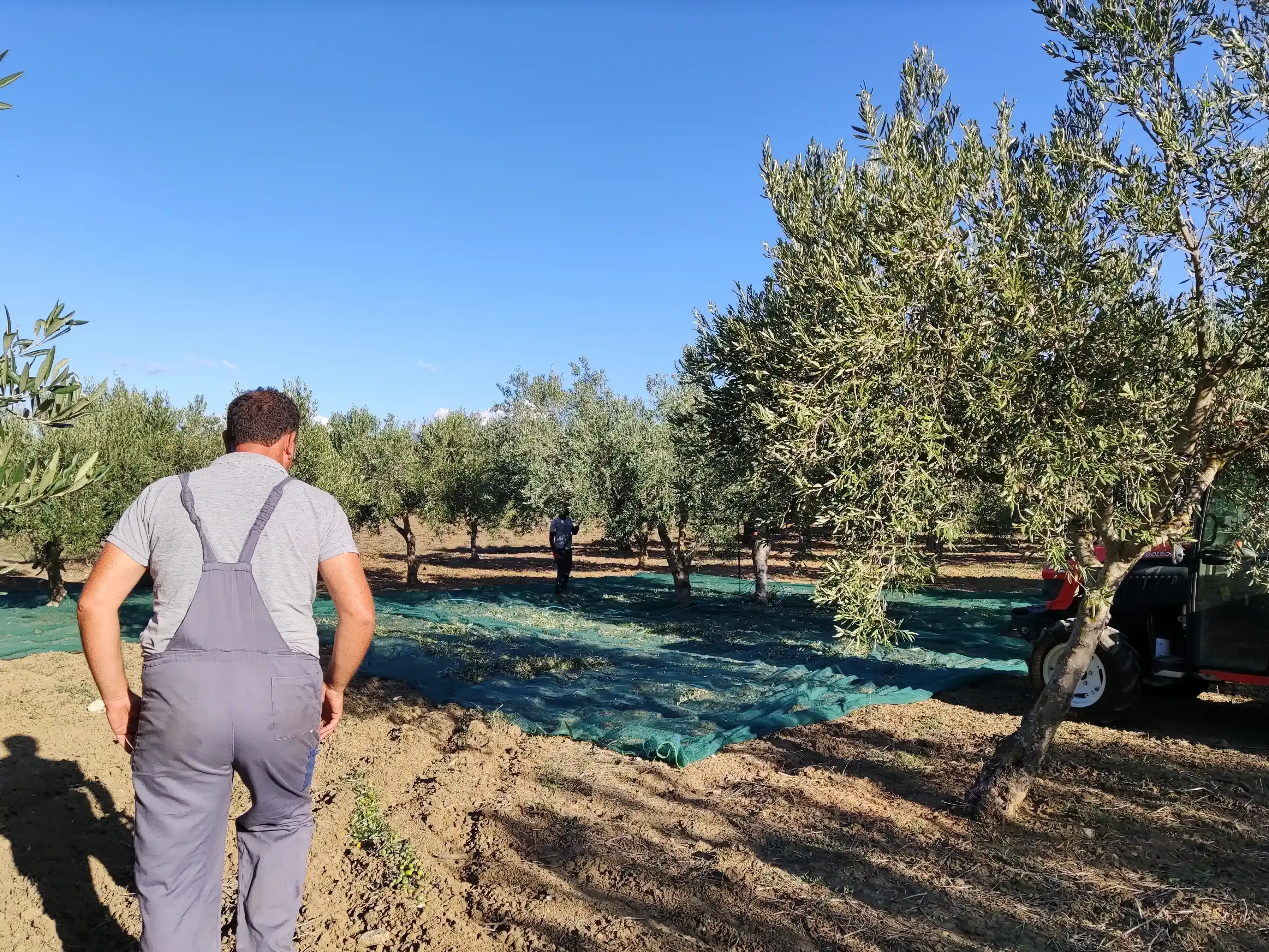 Visit Agri Amigdala Degustazione di prodotti tipici siciliani in azienda agricola a Dattilo