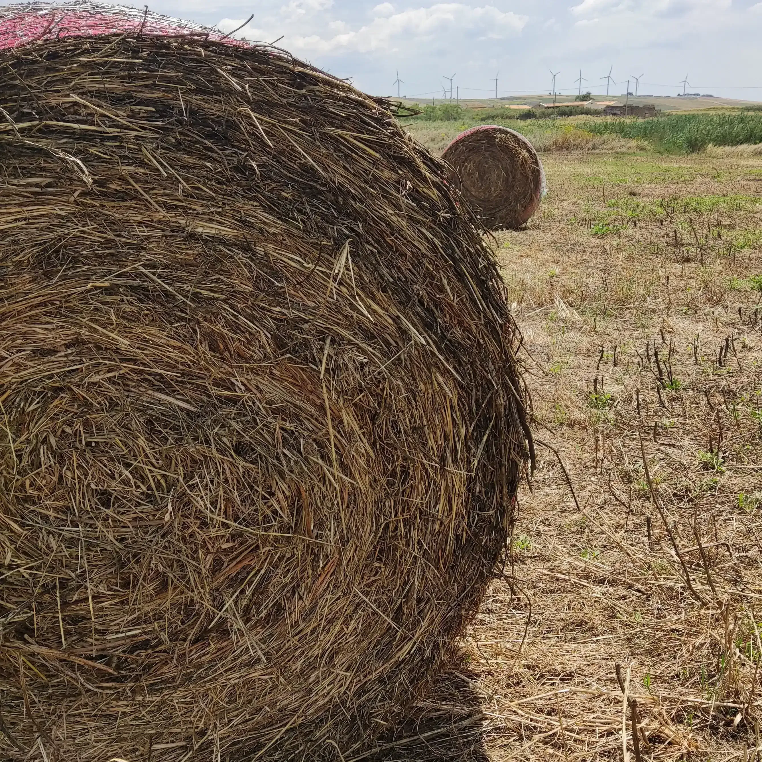 Visit Agri Amigdala Degustazione di prodotti tipici siciliani in azienda agricola a Dattilo